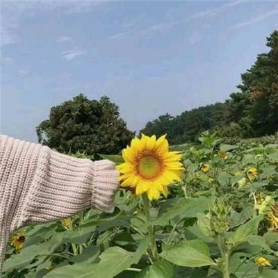 菲利滑行记游戏(改名为地铁跑酷)下载